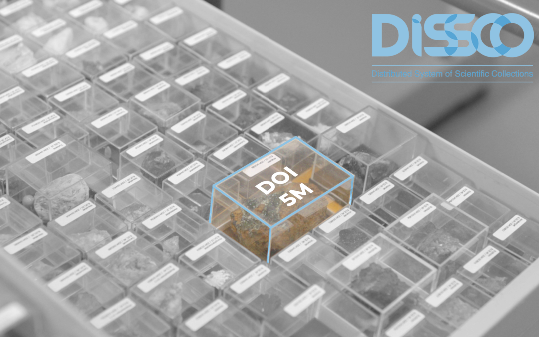 Five million digital specimens and images in DiSSCo: millions more to come