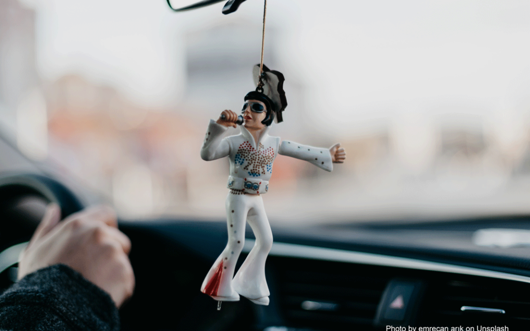 ELViS is in the DiSSCo