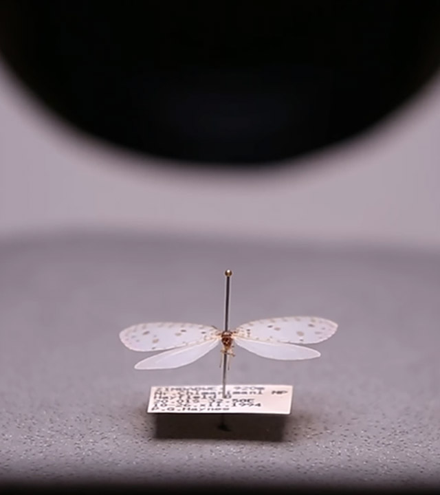 E-science