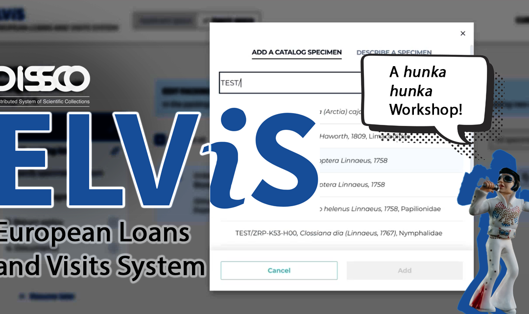 The European Loans and Visits System (for natural history collections) unveiled!