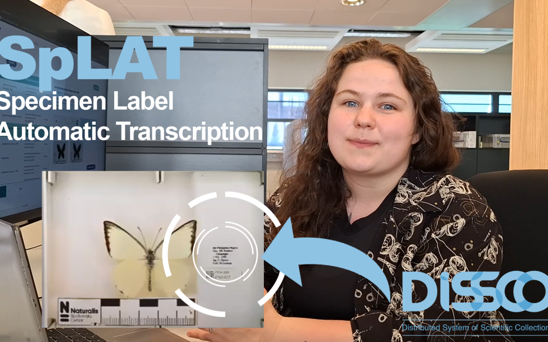 Get to know DiSSCo’s new service: SpLAT!