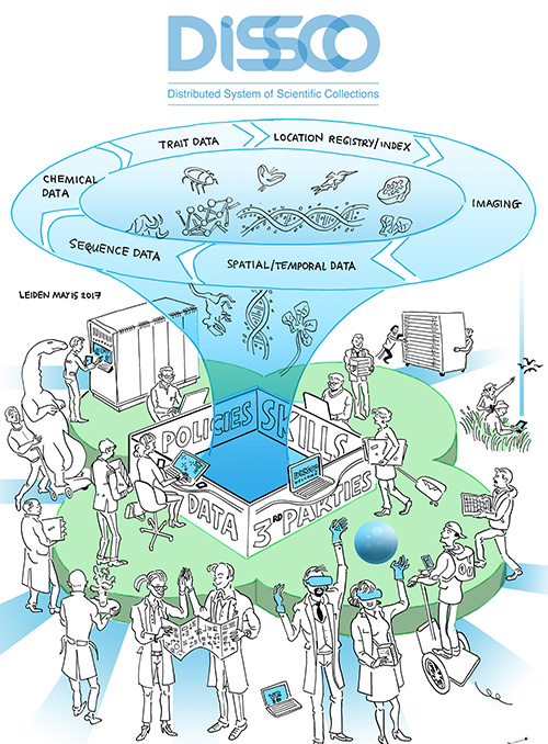 connect_meeting_visualisation-example