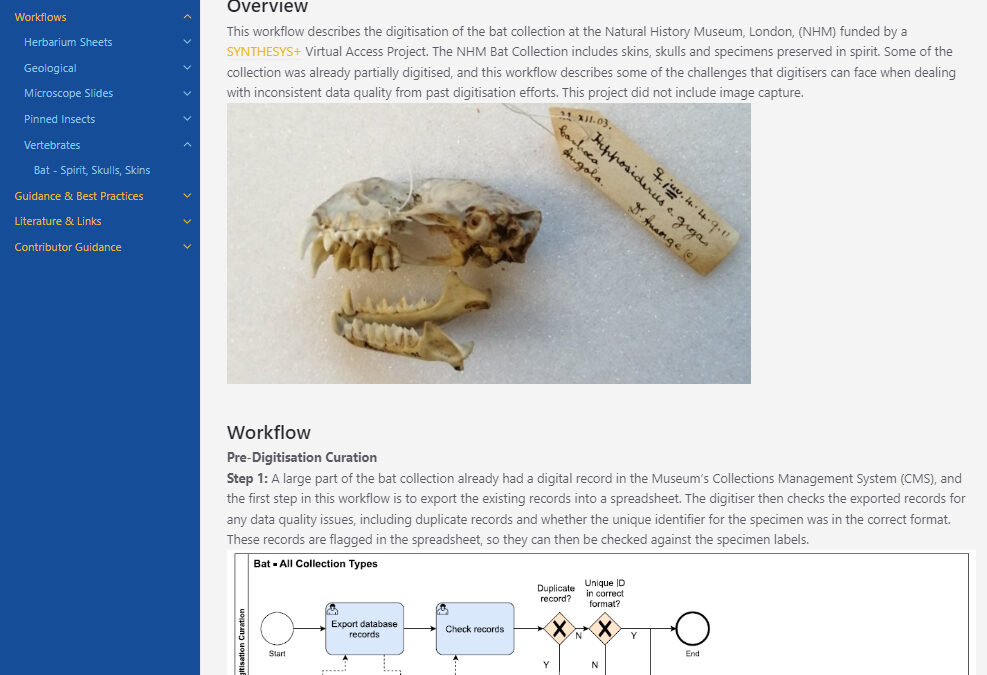 DiSSCo Digitisation Guides: All you need to know about digitisating natural science collections