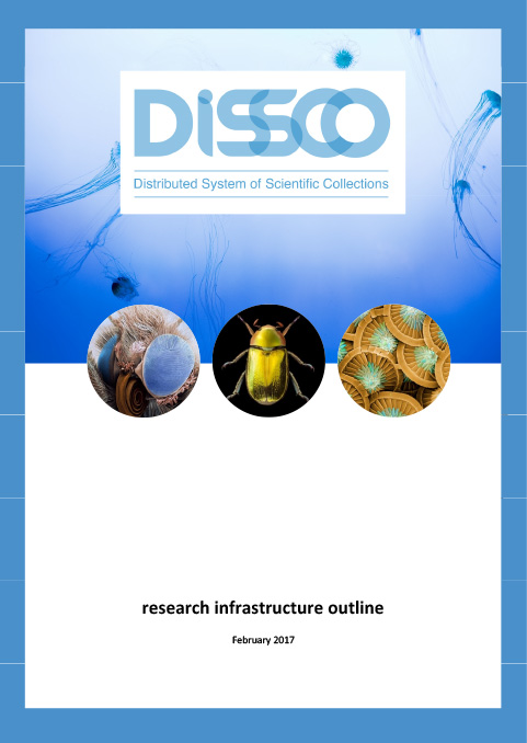 dissco-outline-example