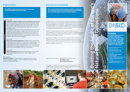 dissco_flyer_example