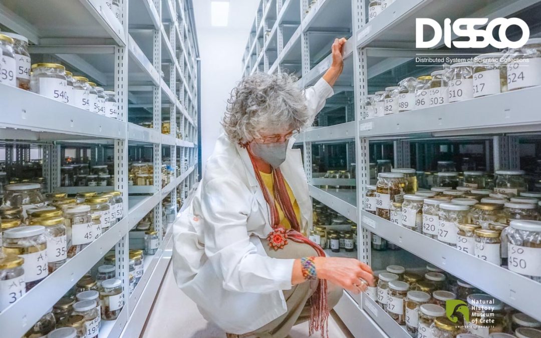 Get to know the Greek Consortium of Scientific Collections