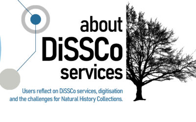 Interview: Thoughts on DiSSCo services