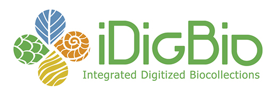 Logo iDigBio