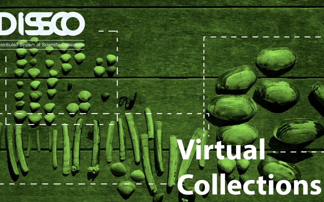 Notes on DiSSCo applications (IV): Virtual collections
