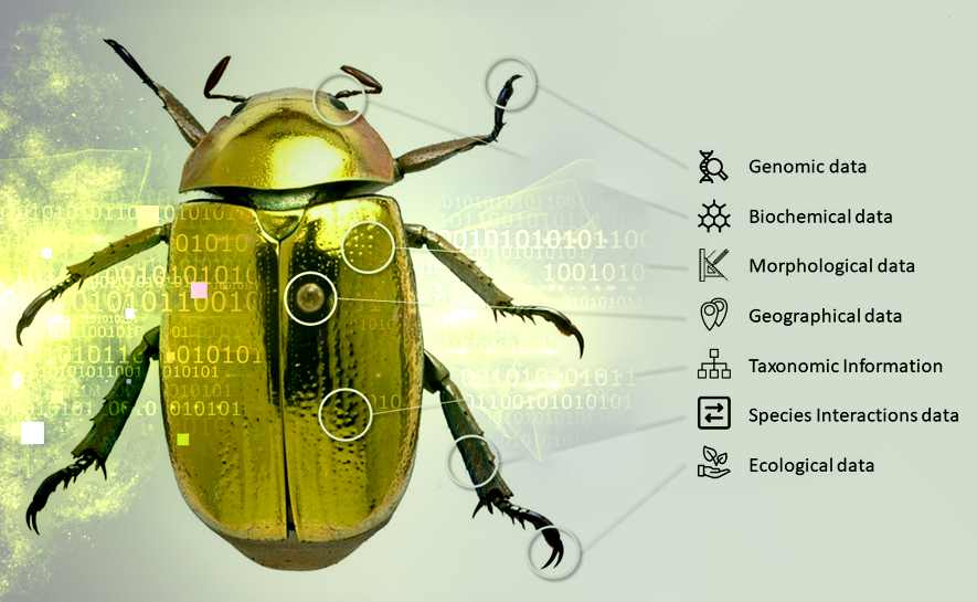What's in a specimen